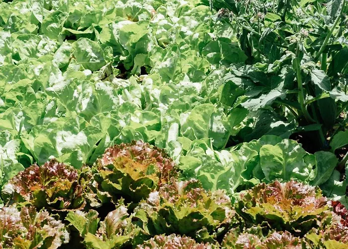 Landgasthof Paradiesli *