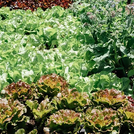 Landgasthof Paradiesli *